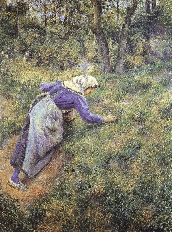 Collect grass, Camille Pissarro